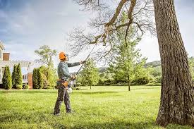 Best Hazardous Tree Removal  in Hammond, LA